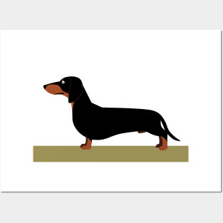 Dachshund dog Posters and Art